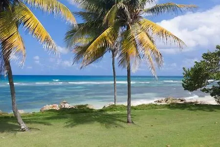 Ultra Modern 2Br Penthouse, Sleeps 5, Beach Front, Pool, Roof Patio, Montego Bay Apartment 0*,  Jamaica