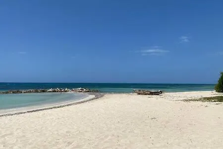 Ultra Modern 2Br Penthouse, Sleeps 5, Beach Front, Pool, Roof Patio, Montego Bay Apartment Jamaica